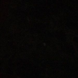 Meet your Posher, Delia